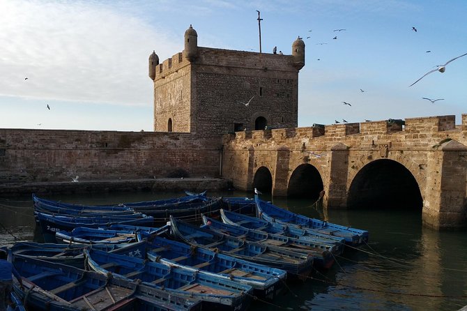 Agadir - Essaouira One Full Day Trip From Agadir - Exploring Essaouiras Medina