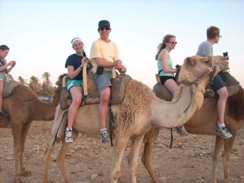 Agadir: Flamingo River Camel Ride W/Optional BBQ - Key Points
