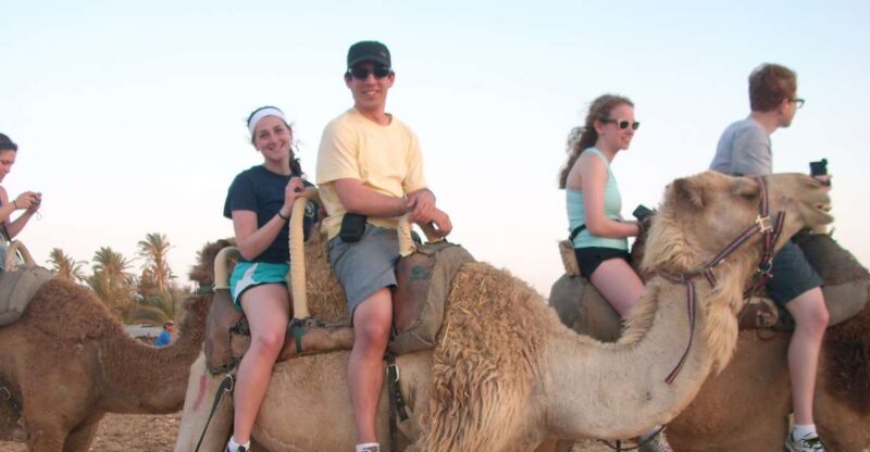 Agadir: Flamingo River Camel Ride W/Optional BBQ - Activity Highlights