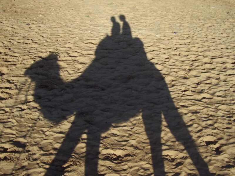Agadir: Flamingo River Camel Ride W/Optional BBQ - Itinerary Details
