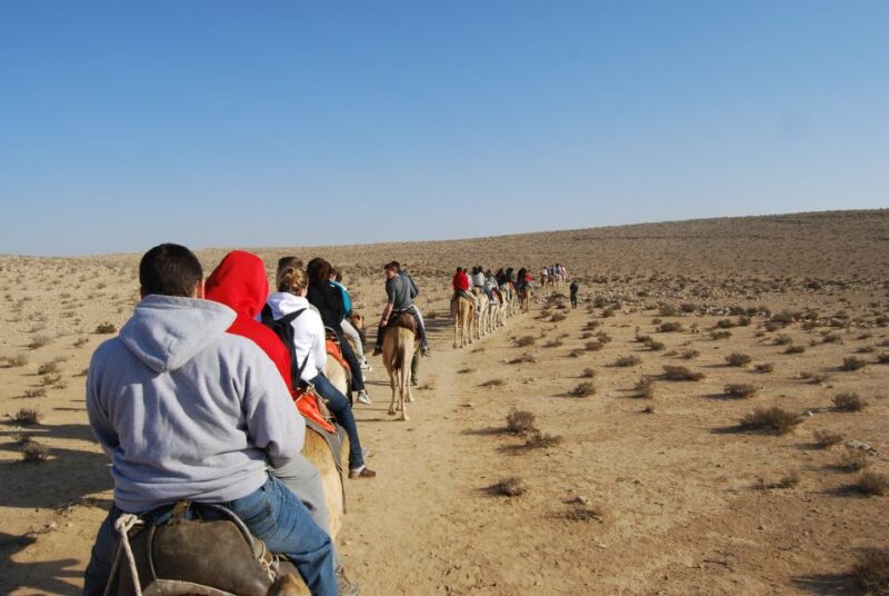 Agadir: Flamingo River Camel Ride W/Optional BBQ - Customer Feedback