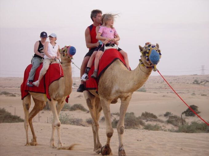 Agadir: Flamingo River Camel Ride W/Optional BBQ - Moroccan Refreshments and Dinner