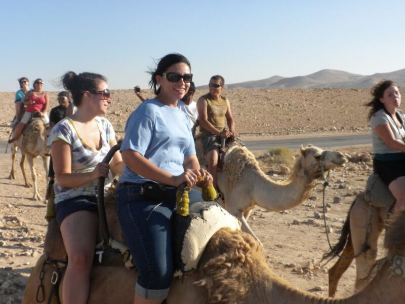 Agadir: Flamingo River Camel Ride With Optional BBQ Dinner - Experience Highlights