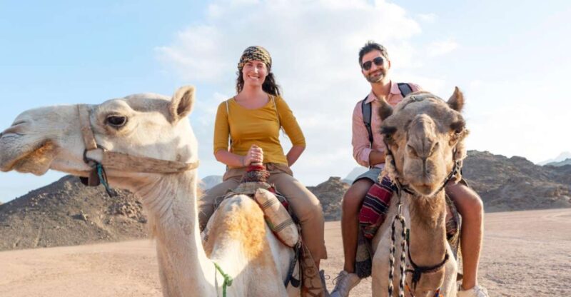 Agadir: Flamingo River Camel Ride With Optional BBQ Dinner - Itinerary Details