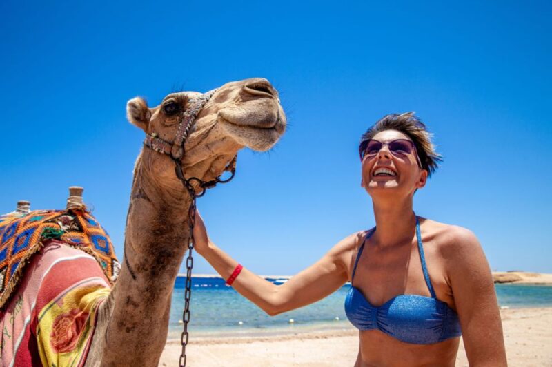 Agadir: Flamingo River Camel Ride With Optional BBQ Dinner - Guided Tour Information
