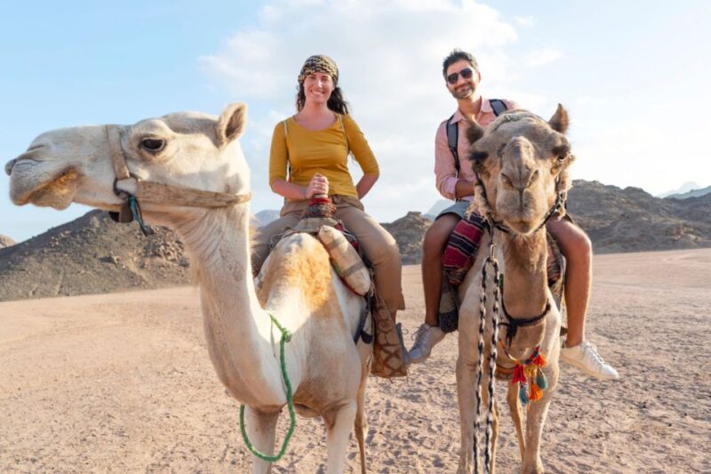 Agadir: Flamingo River Camel Ride With Optional BBQ Dinner - Camel Riding Highlights