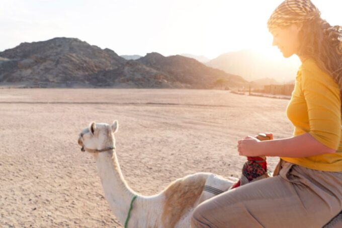 Agadir: Flamingo River Camel Ride With Optional BBQ Dinner - Frequently Asked Questions