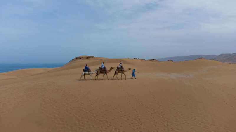 Agadir: Flamingo River Sunset Camel Ride With BBQ Diner - Key Points