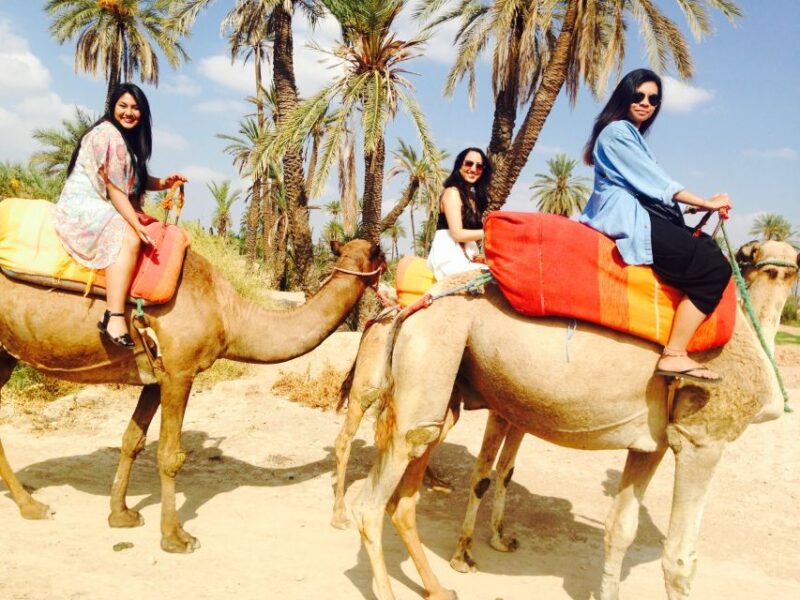 Agadir: Flamingo River Sunset Camel Ride With BBQ Diner - Scenic Camel Ride