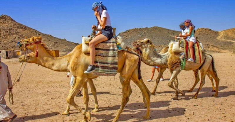 Agadir: Flamingo River Sunset Camel Ride With BBQ Diner - Breathtaking Desert Views