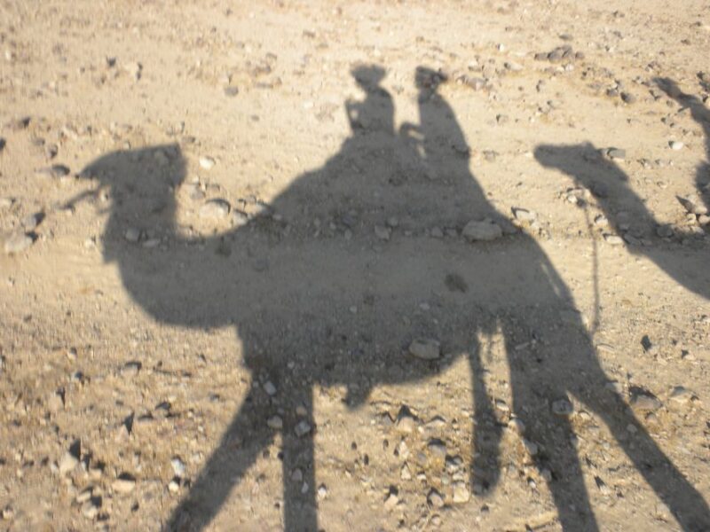 Agadir: Flamingo River Sunset Camel Ride With BBQ Diner - Moroccan Barbecue Dinner