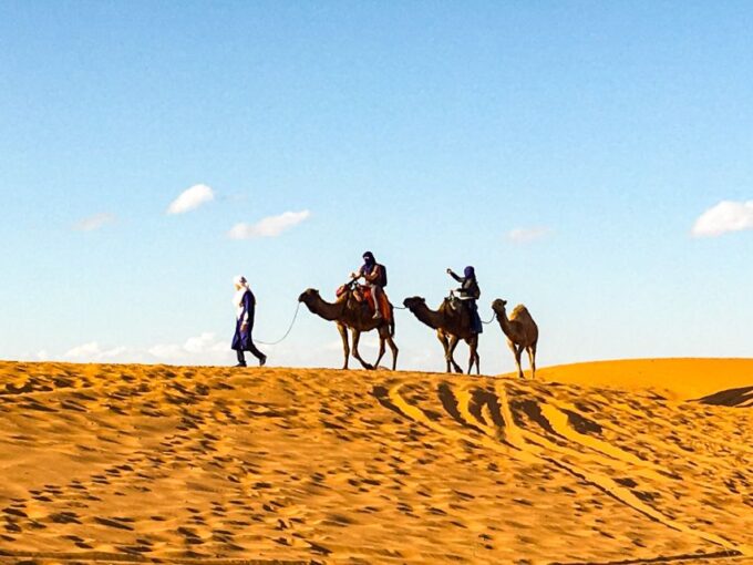 Agadir: Flamingo River Sunset Camel Ride With BBQ Diner - Booking and Availability