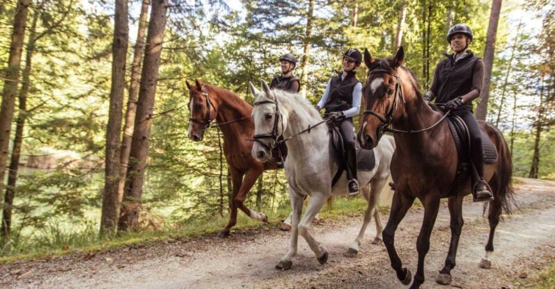 Agadir: Forest and Sand Dunes Guided Horse Riding Tour - Key Points