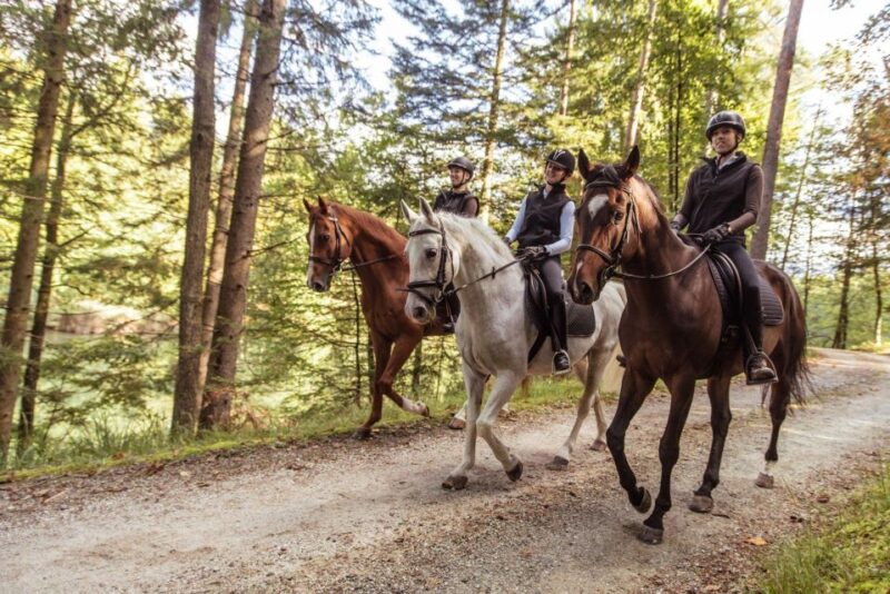 Agadir: Forest and Sand Dunes Guided Horse Riding Tour - Experience Highlights