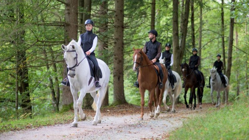 Agadir: Forest and Sand Dunes Guided Horse Riding Tour - Horse Safety and Behavior