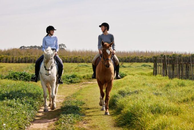 Agadir: Forest and Sand Dunes Guided Horse Riding Tour - Recommendations for Riders