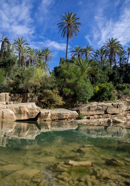 Agadir: Goat on Trees & Crocodile Park Including Hotelpickup - Explore Crocoparc Wildlife Park