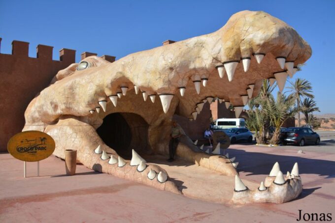 Agadir: Goat on Trees & Crocopark Including Hotel Pickup - Goat Climbing Argan Trees