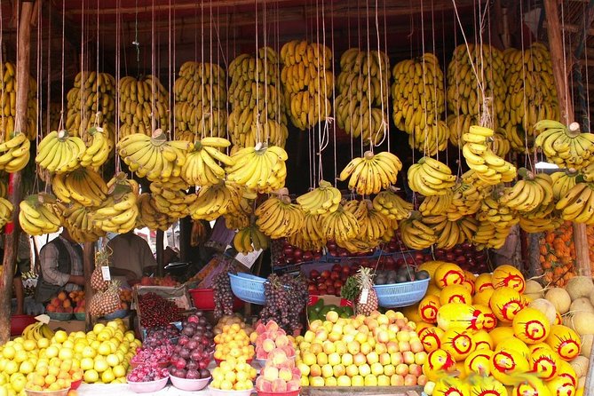 Agadir Guided City Tour Half-Day Trip - Pricing and Booking