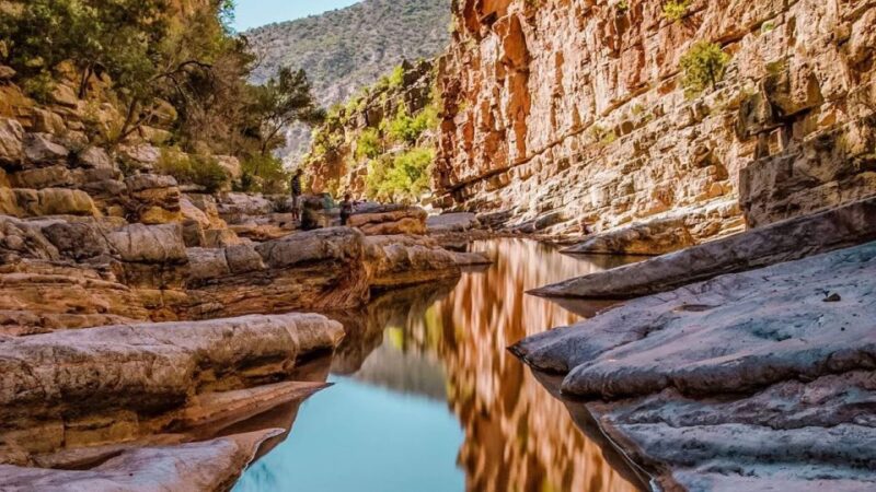 Agadir: Guided Excursion to Paradise Valley - Key Points