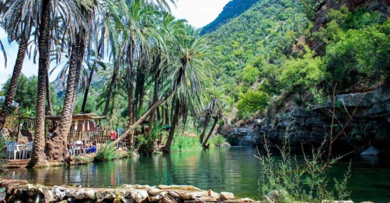 Agadir: Guided Excursion to Paradise Valley - Detailed Itinerary