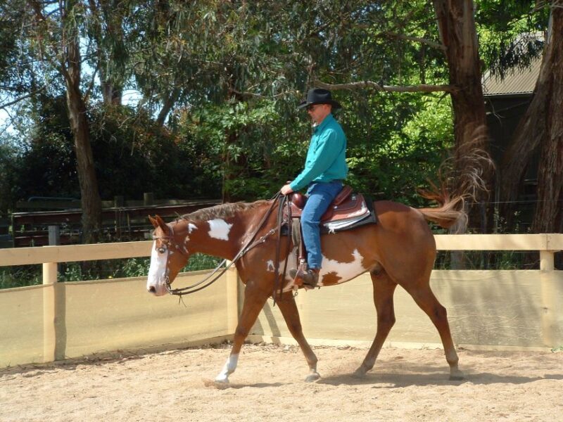 Agadir: Guided Horse Riding Along Flamingo River With Tea - Riding Through Dunes