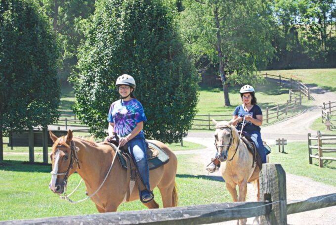 Agadir: Guided Horse Riding Along Flamingo River With Tea - Frequently Asked Questions