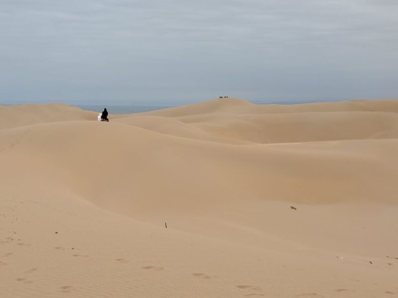 Agadir: Half-Day Sandboarding Tour With Lunch - Key Points
