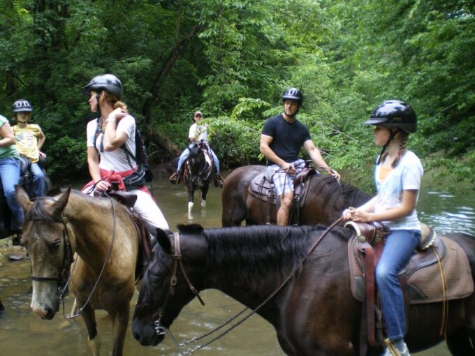 Agadir: Horse Ride Along the Souss River With Birdwatching - Beginner-Friendly Experience