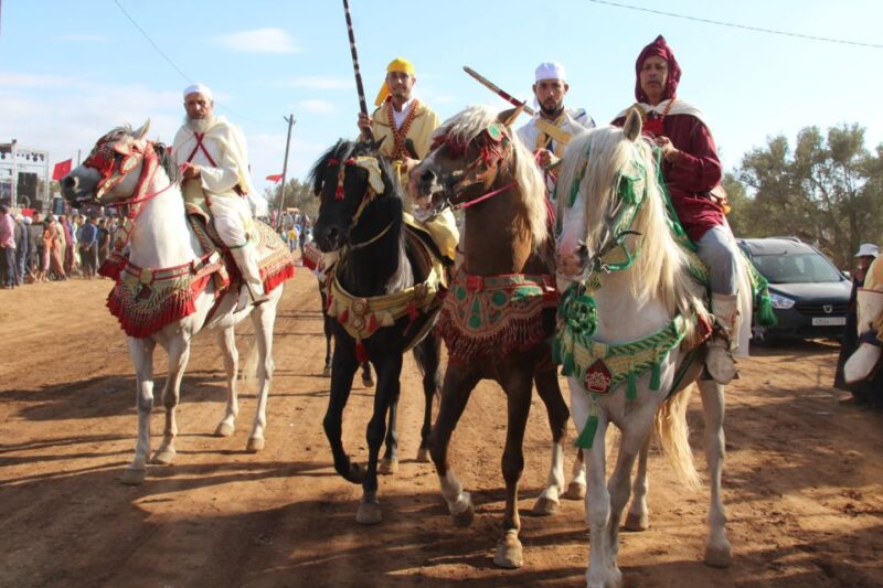 Agadir: Horse Ride Experience With Flamingos Watching - Key Points