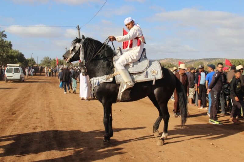 Agadir: Horse Ride Experience With Flamingos Watching - Highlights of the Activity
