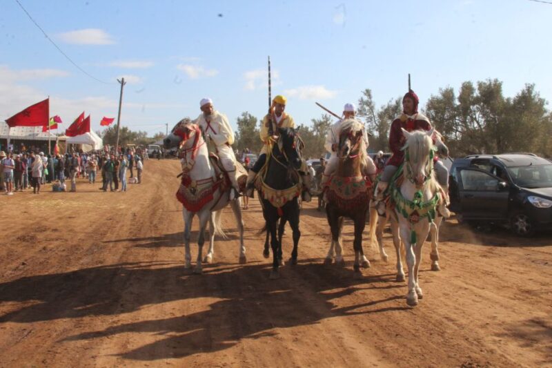 Agadir: Horse Ride Experience With Flamingos Watching - Scenic Beauty of the River