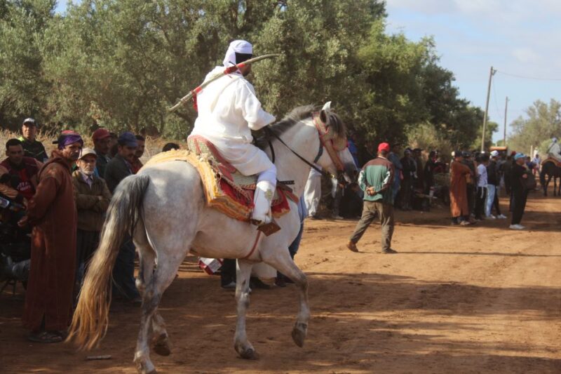 Agadir: Horse Ride Experience With Flamingos Watching - Connecting With Nature and Horses