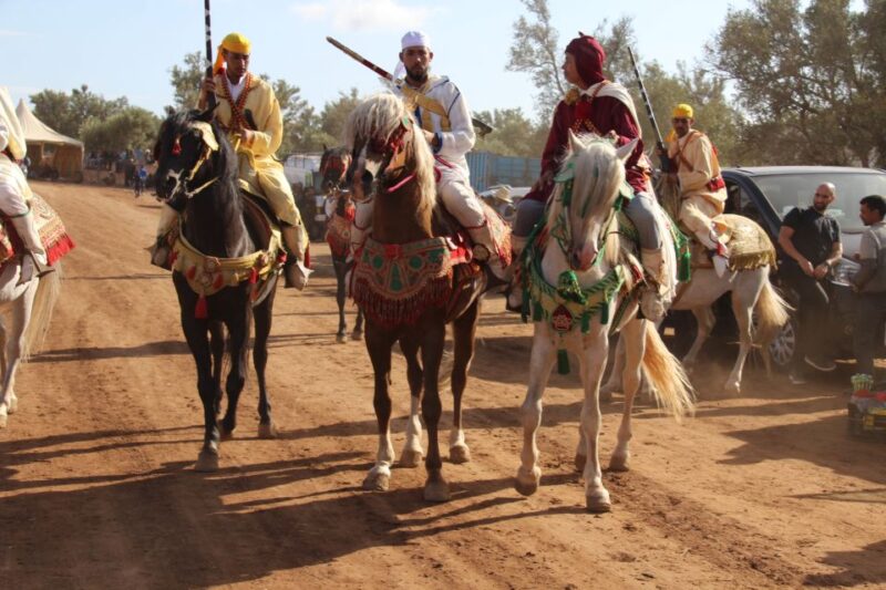 Agadir: Horse Ride Experience With Flamingos Watching - Skill Level and Guidance Provided
