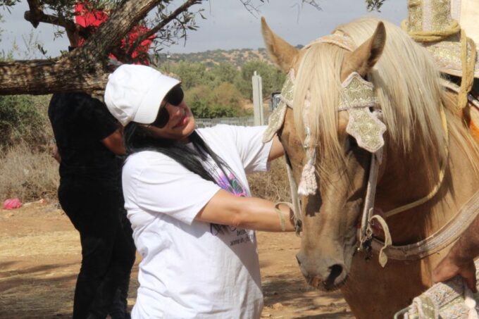 Agadir: Horse Ride Experience With Flamingos Watching - Convenient Pickup and Transportation