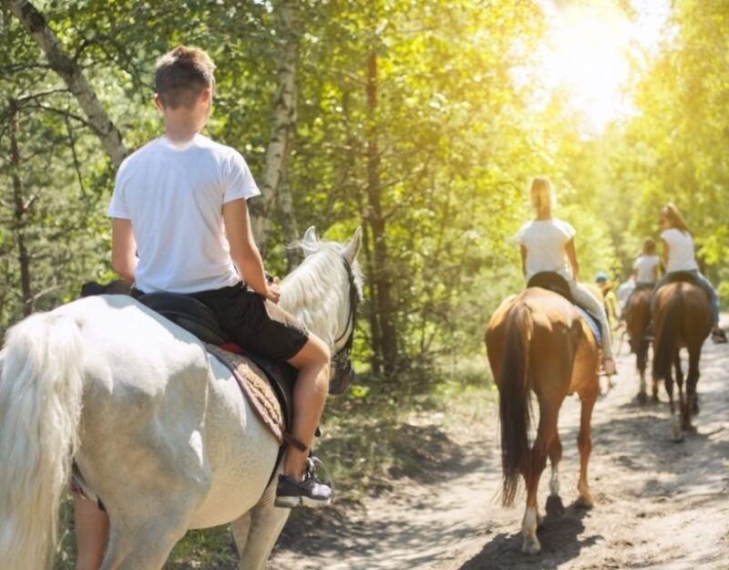 Agadir: Horse Ride in Flamingo Souss River - Experience Highlights