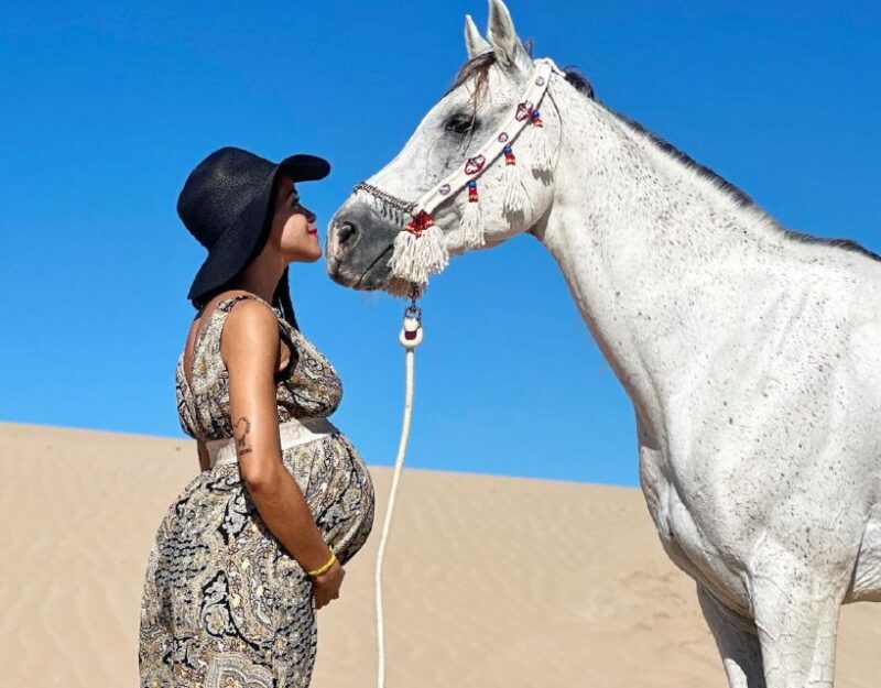 Agadir: Horse Ride in Flamingo Souss River - Journey Description