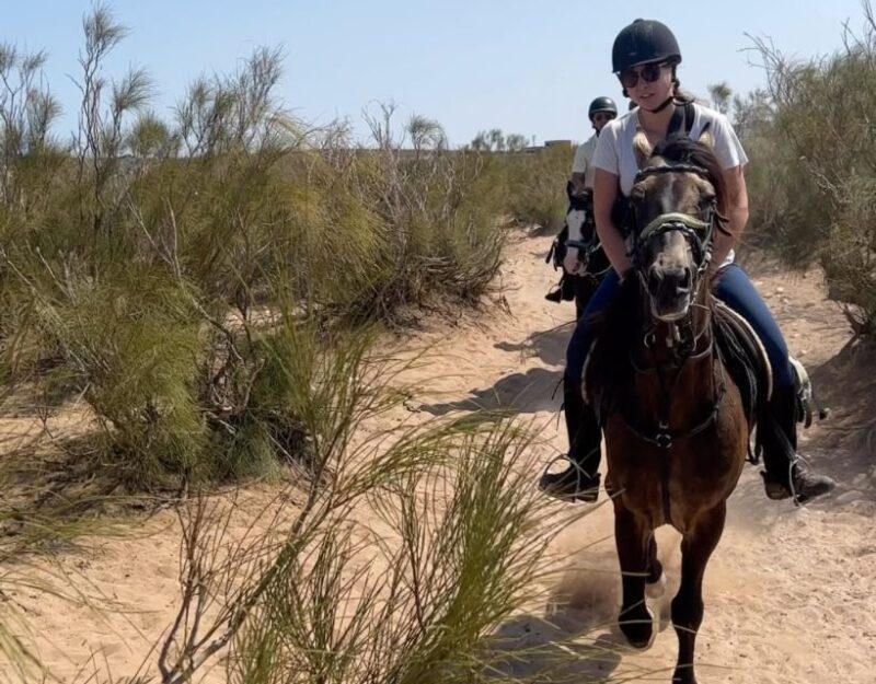 Agadir: Horse Ride in Flamingo Souss River - Safety and Precautions