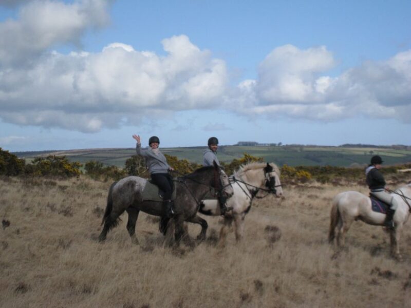 Agadir Horse Riding Visite the Flamingo River With Tea Drink - Daily Visits to Eucalyptus Forests