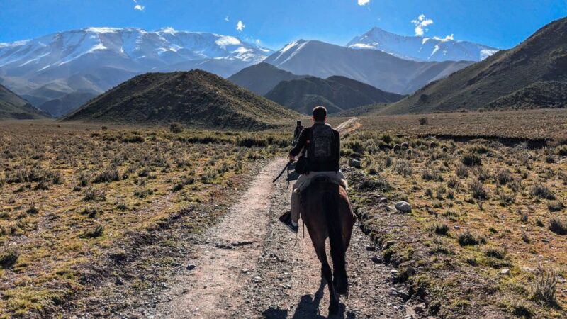 Agadir Horse Riding Visite the Flamingo River With Tea Drink - Key Points