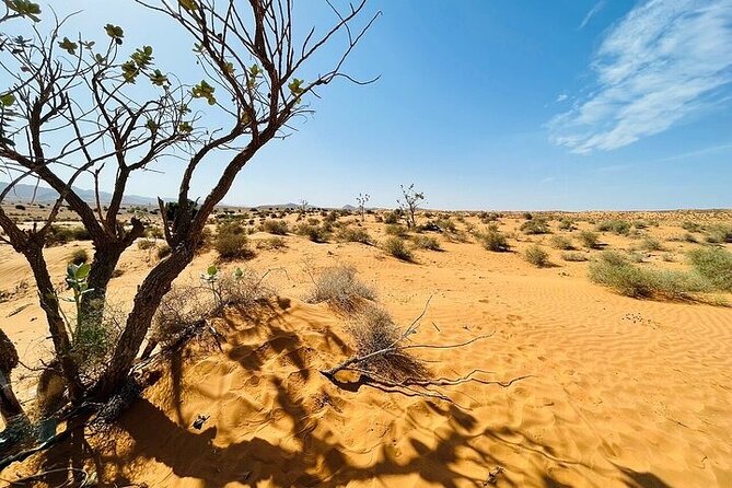 Agadir Jeep Safari 4x4 Desert Adventures - Explore Agadirs Stunning Landscapes
