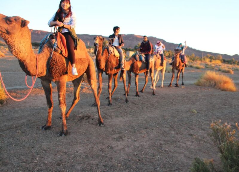 Agadir or Taghazout: 2-Day Zagora Desert Guided Tour - Overnight in Sahara Desert