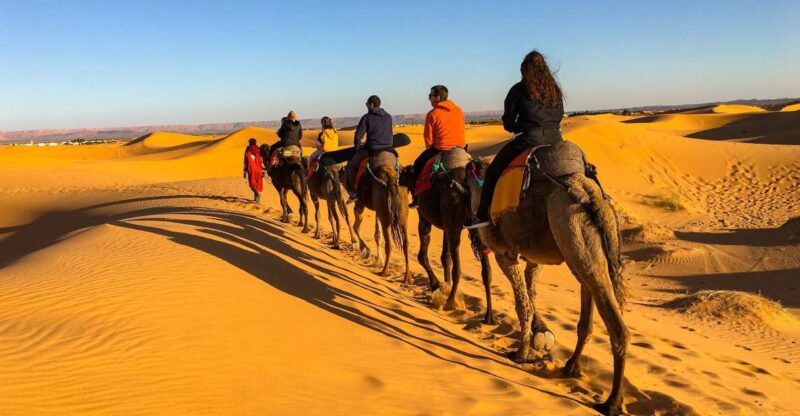 Agadir or Taghazout: 2-Day Zagora Desert Guided Tour - Inclusion Details