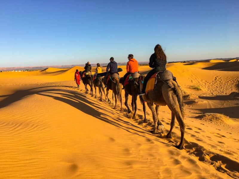 Agadir or Taghazout: 2-Day Zagora Desert Guided Tour - Booking Information