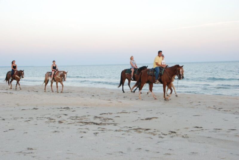 Agadir or Taghazout: 2 Hour Sunset or Daylight Horse Ride - Key Points