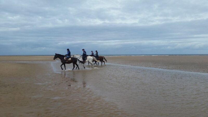 Agadir or Taghazout: 2 Hour Sunset or Daylight Horse Ride - Experience Highlights