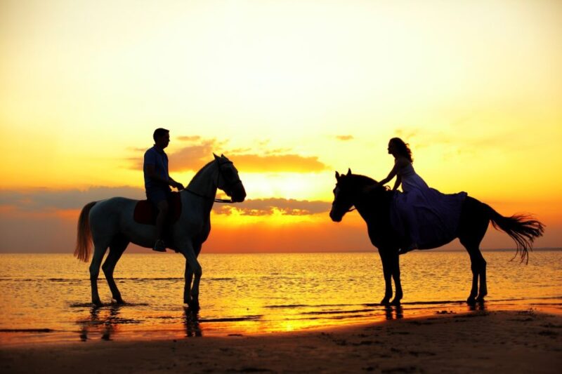 Agadir or Taghazout: 2 Hour Sunset or Daylight Horse Ride - Itinerary Details
