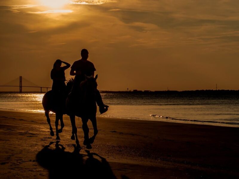 Agadir or Taghazout: 2 Hour Sunset or Daylight Horse Ride - Included in the Tour