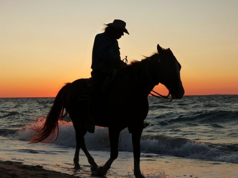 Agadir or Taghazout: 2 Hour Sunset or Daylight Horse Ride - Customer Feedback