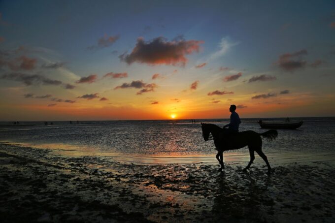Agadir or Taghazout: 2 Hour Sunset or Daylight Horse Ride - Horse and Safety Precautions